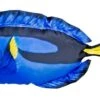 WSB Blue Tang Fish Pillow 50cm 2 WSB Blue Tang Fish Pillow 50cm -Vangi Camping Shop blue tang